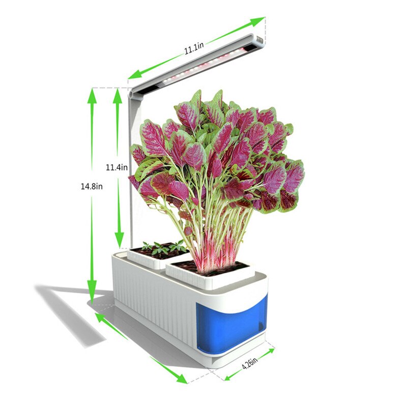 City Harvesters Fresh Flava Garden Kit